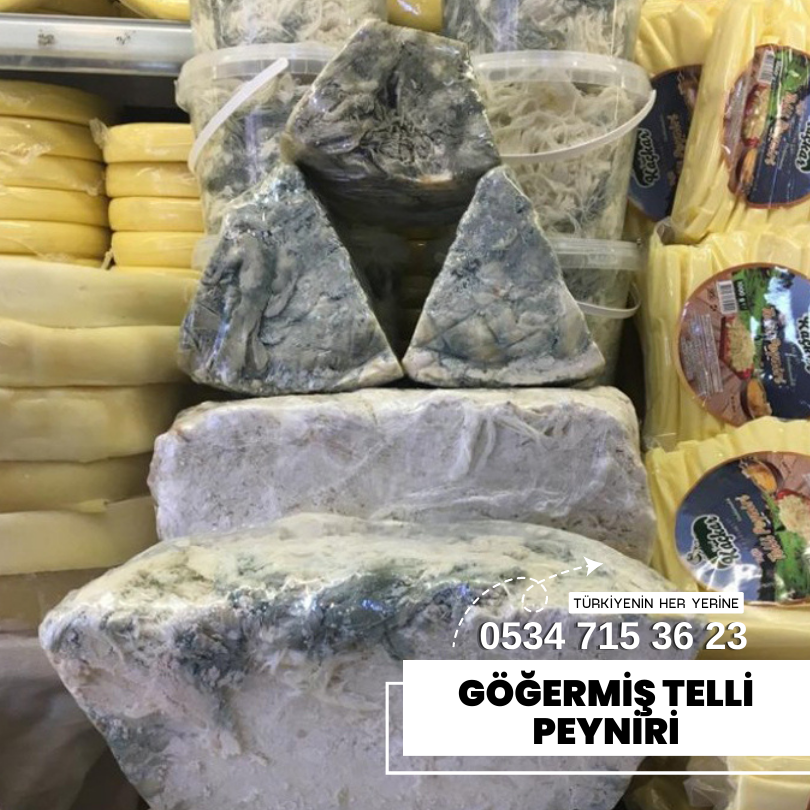 Erzurum Göğermiş Telli Peyniri 1 KG